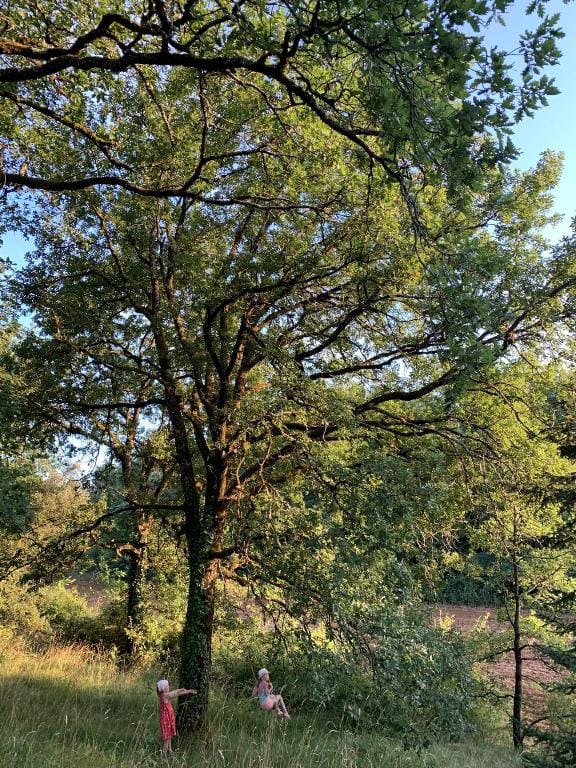 Gîtes La Source Vacation rental in Nouvelle-Aquitaine