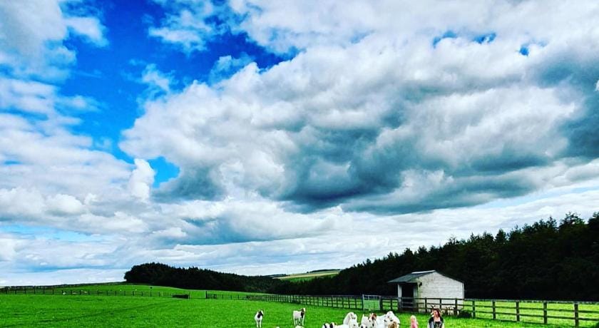 High Paradise Farm Farm Stay in England