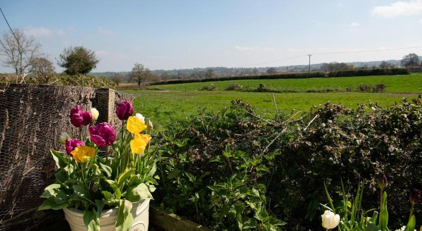 Corner House Vacation rental in Taunton Deane