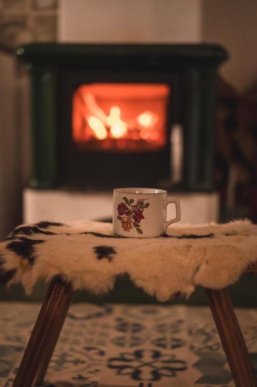 Chalupa Skála 1827 Vacation rental in South Bohemian Region