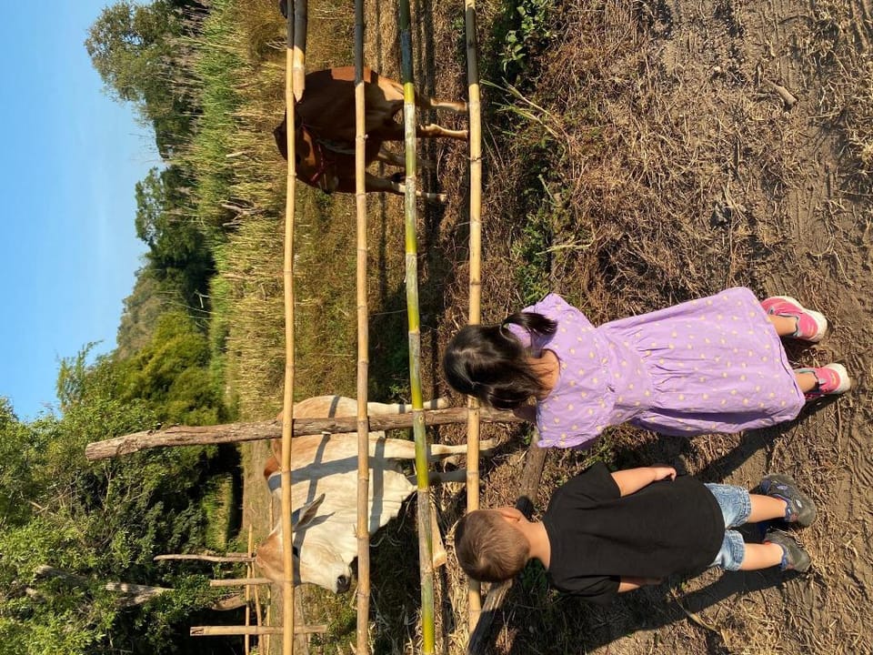 Chiangmai Elephant Home Family 1 Vacation rental in Thailand