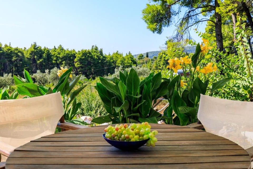 Villa Pine Trees  by Kardous Villa in Sporades, Greece