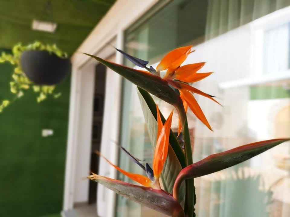 Grancan suite Apartment in Maspalomas
