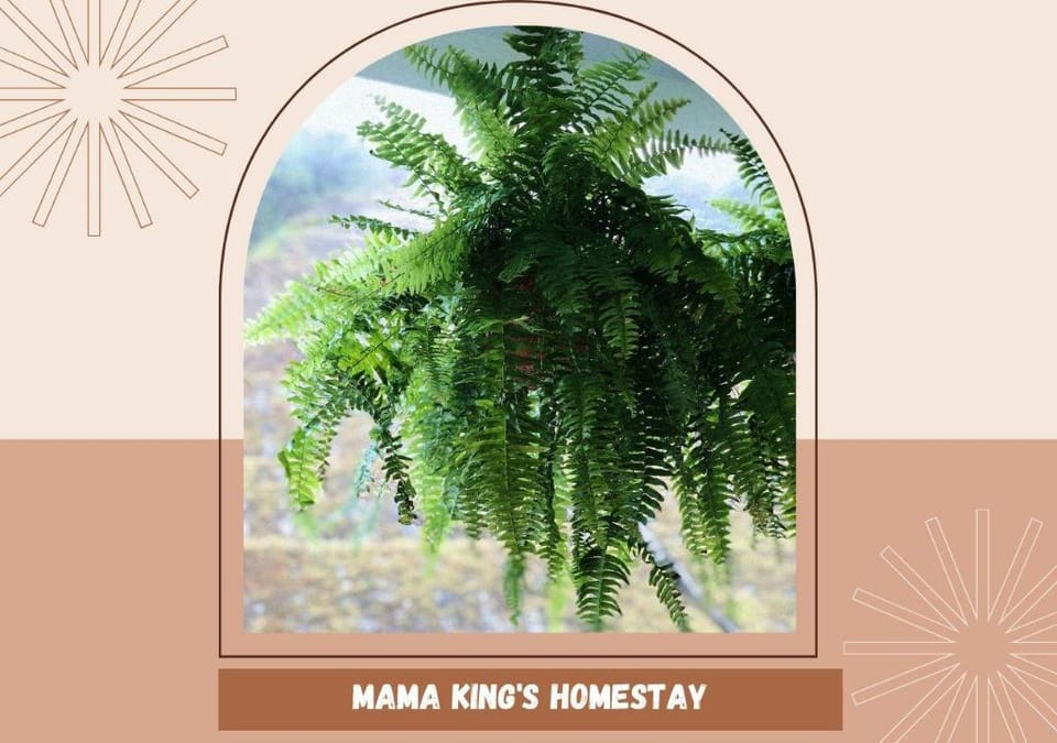 Mama King’s Homestay@ Palas Horizon Apartment in Brinchang
