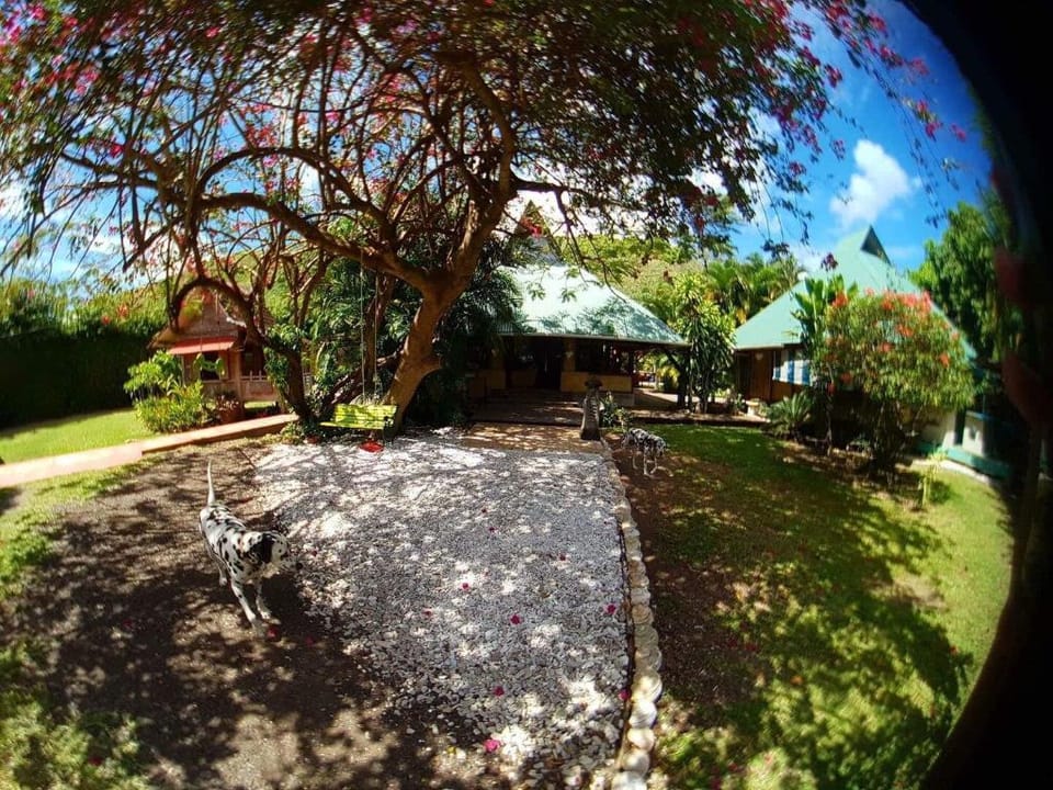 Bungalow SeaShell avec bain privé, air conditionné Vacation rental in Moorea-Maiao