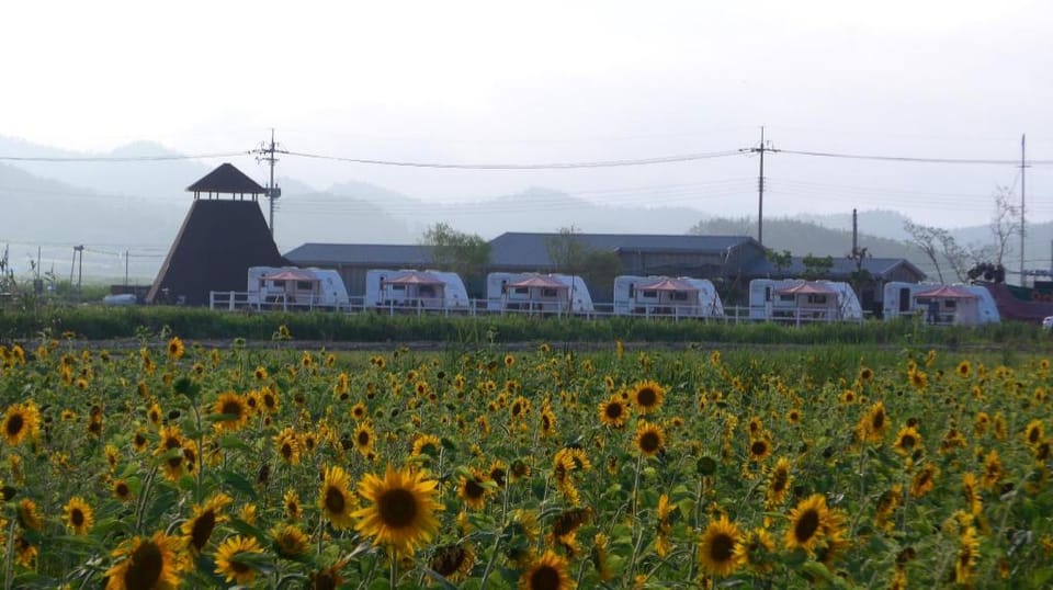 sinan ceonilyeomhilringkaempeu karaban Bed and Breakfast in South Korea