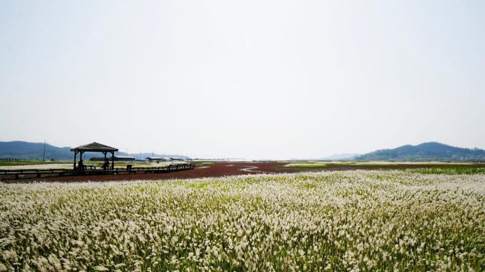 sinan ceonilyeomhilringkaempeu karaban Bed and Breakfast in South Korea