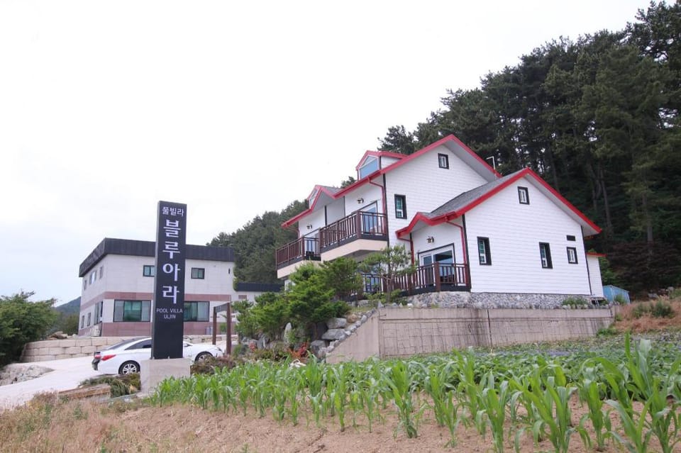 Uljin blue ara A pension Bed and Breakfast in South Korea
