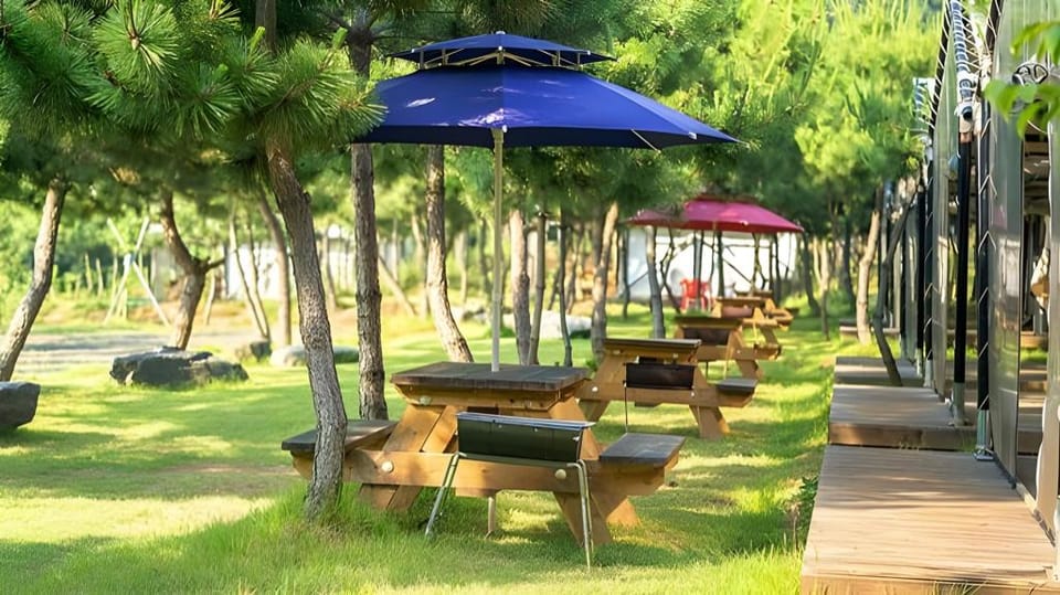 seocheon paintree glamping Apartment in South Korea