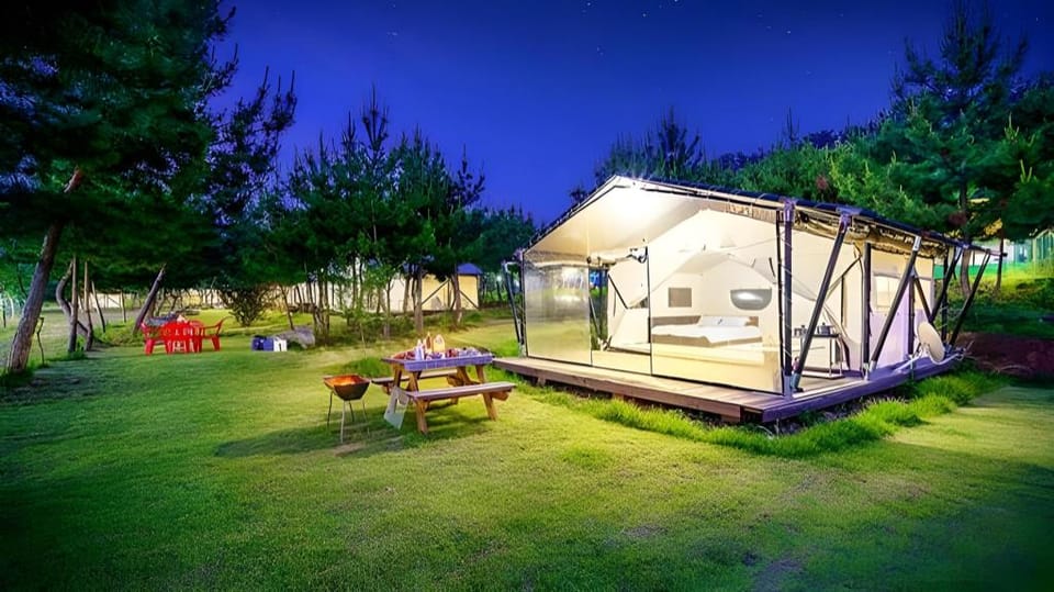 seocheon paintree glamping Apartment in South Korea