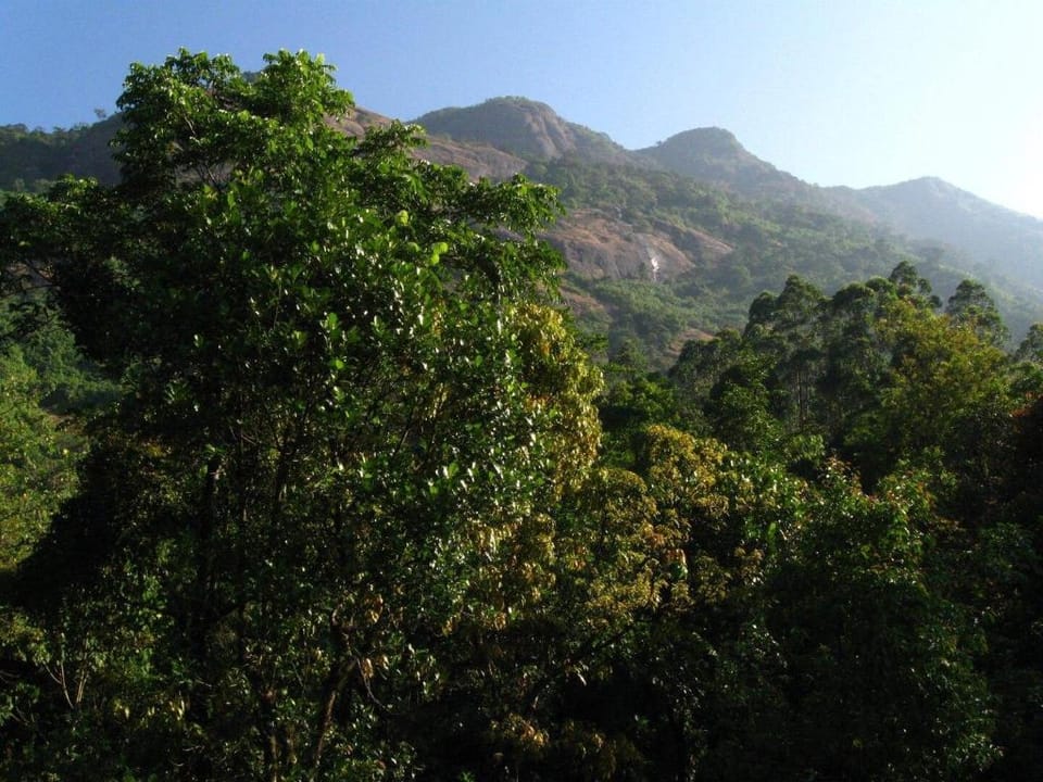 Solitude Munnar, Contemporary Mud House Villa in Kerala