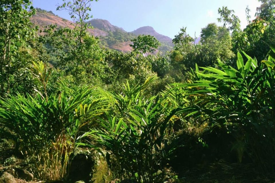 Solitude Munnar, Contemporary Mud House Villa in Kerala
