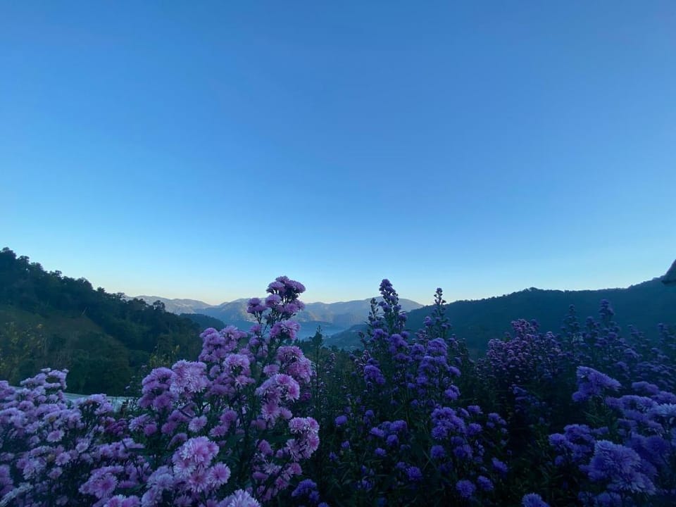 Muang kham hill homestay Vacation rental in Thailand