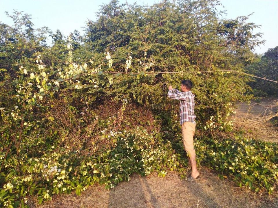 Banabhoji.com Vacation rental in Bhubaneswar
