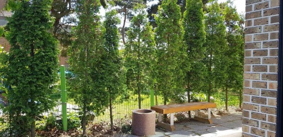 Sun and moon pension Bed and Breakfast in Gyeonggi-do