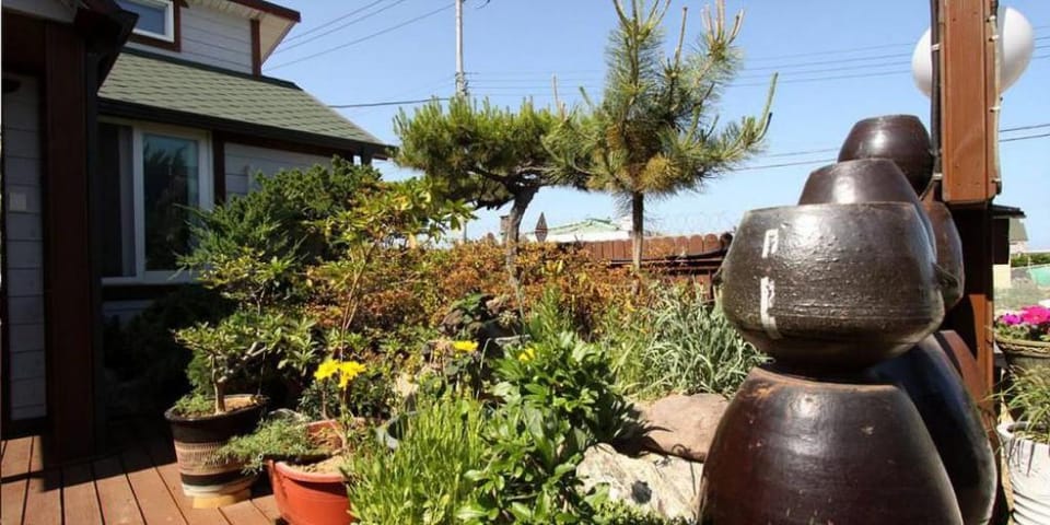 Jeongwon Pension Bed and Breakfast in South Korea
