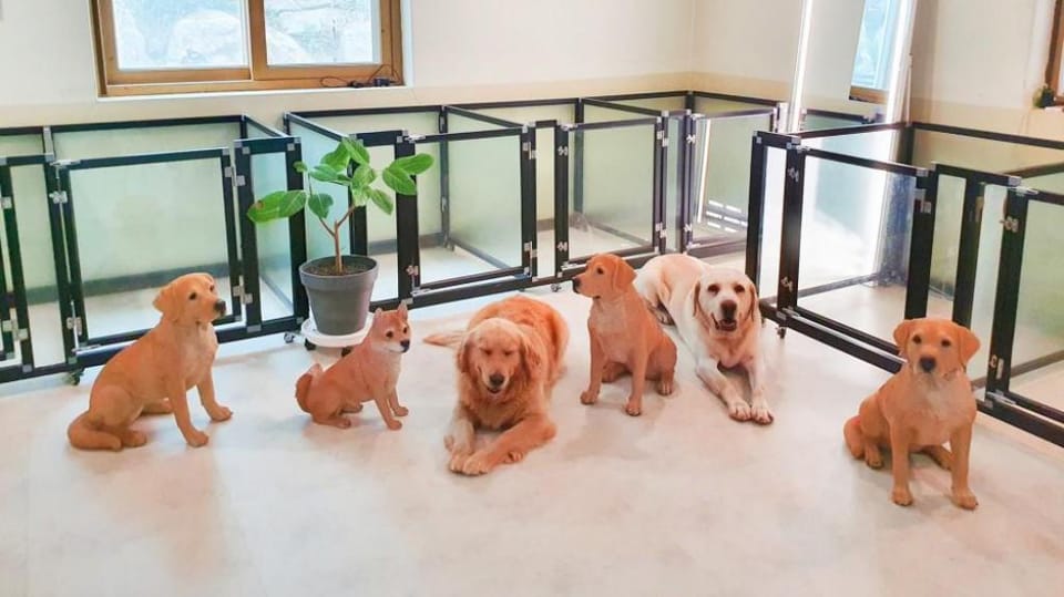 Janni Pension Bed and Breakfast in Gyeonggi-do