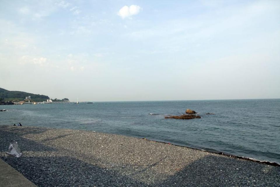 Dancing Whale Pension Bed and Breakfast in South Korea
