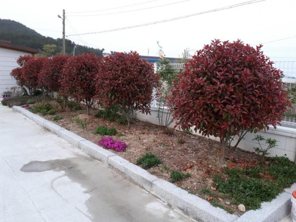 Pohang Wolpo Seagulls Pension Apartment in South Korea
