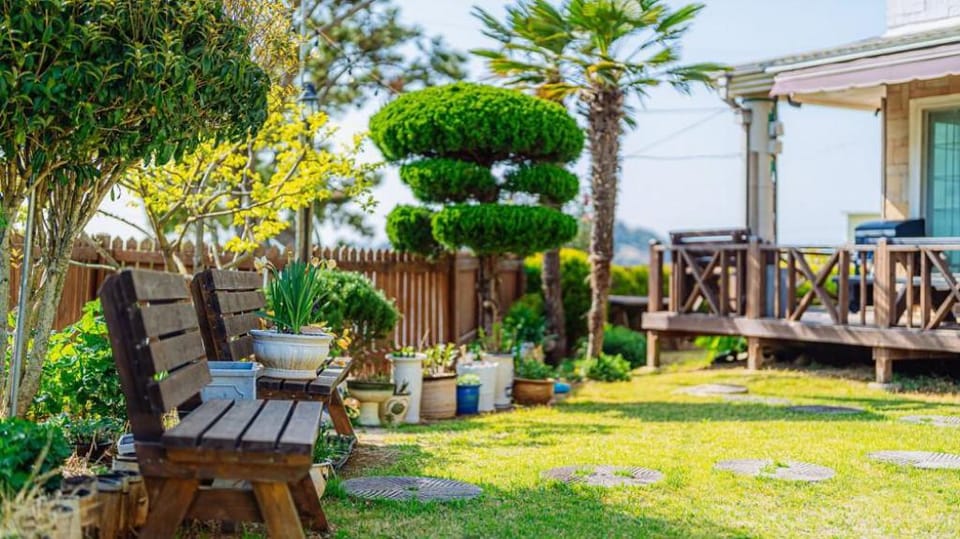 Yeonya Pension Bed and Breakfast in South Korea