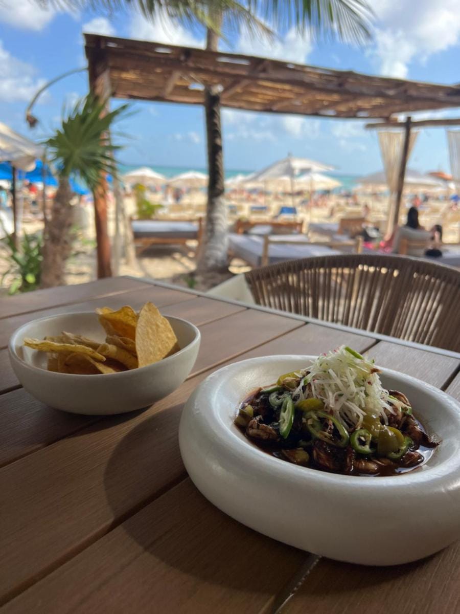 Areia Playa del Carmen - Beach Front Hotel Lodge in Playa del Carmen