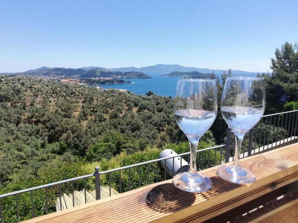 Entire house - 2br Suite White gea with private pool Apartment in Sporades, Greece
