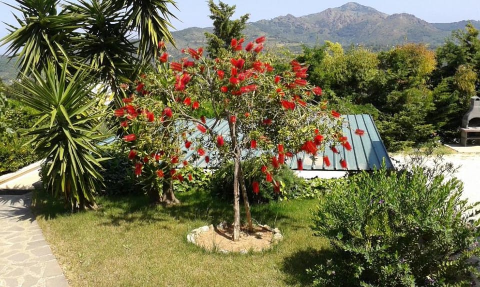 Apartment in villa 24 persons with large garden stella Apartment in Capoliveri