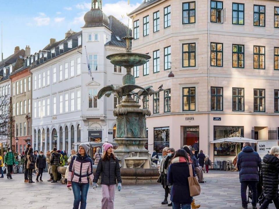 Fantastic Four-bedroom Centrally Located Apartment with a Roof Terrace Apartment in Copenhagen