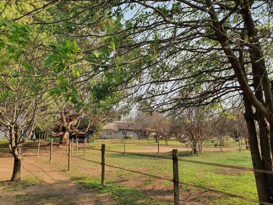 Kyalami Country Cottage, home away from home Vacation rental in Gauteng