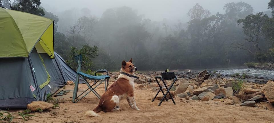 Coorg River Rock Camping.Riverside view.starry nyt Vacation rental in Kerala