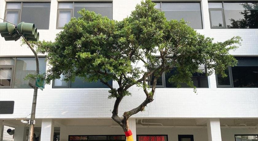Little inn By LAGOM Bed and Breakfast in Kaohsiung