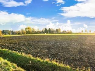 Charming vacation home with terrace Vacation rental in South Holland (province)