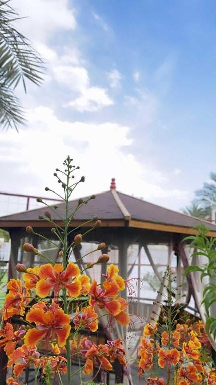 Albadea resort 1 Vacation rental in Oman