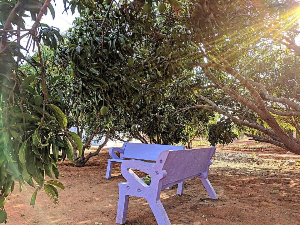 Valley  Views |nature|mango farm|eco|hills|orchard Vacation rental in Tamil Nadu