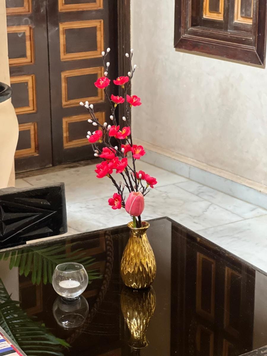 Riad Alice Terrace & Spa Riad in Marrakesh