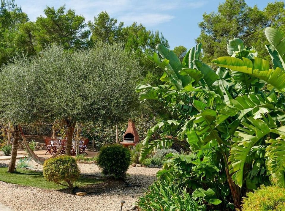 Villa Sa Cuina | Ibiza holiday house Private Pool  Villa in Ibiza