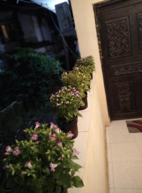 TAMANNA HOLIDAY HOMES Apartment in Agonda