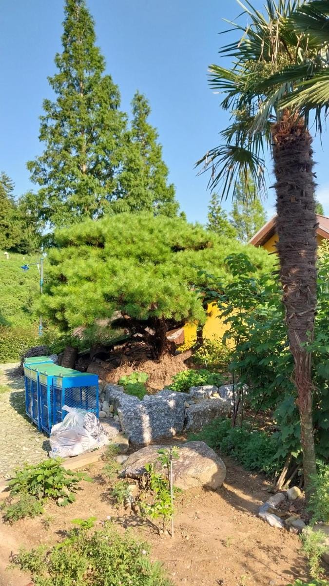 White House Bed and Breakfast in South Korea