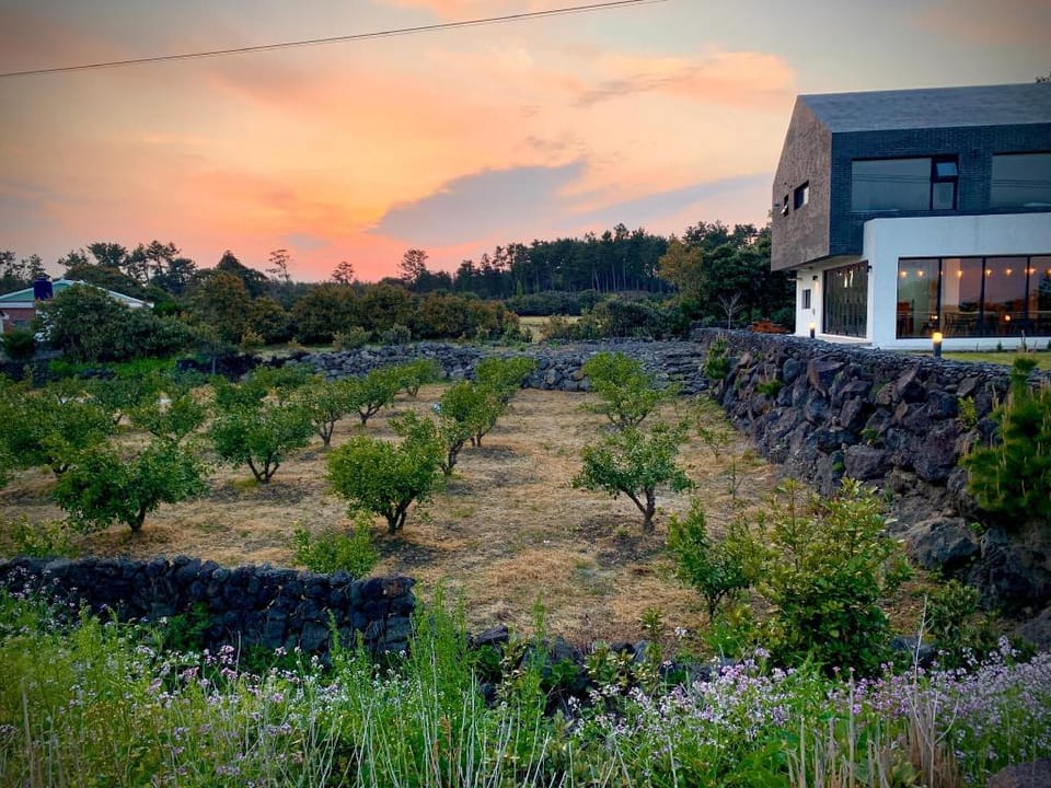 Orchard Samdal Bed and Breakfast in South Korea