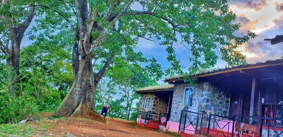 Property Not available {call 8547891610} Villa in Kerala