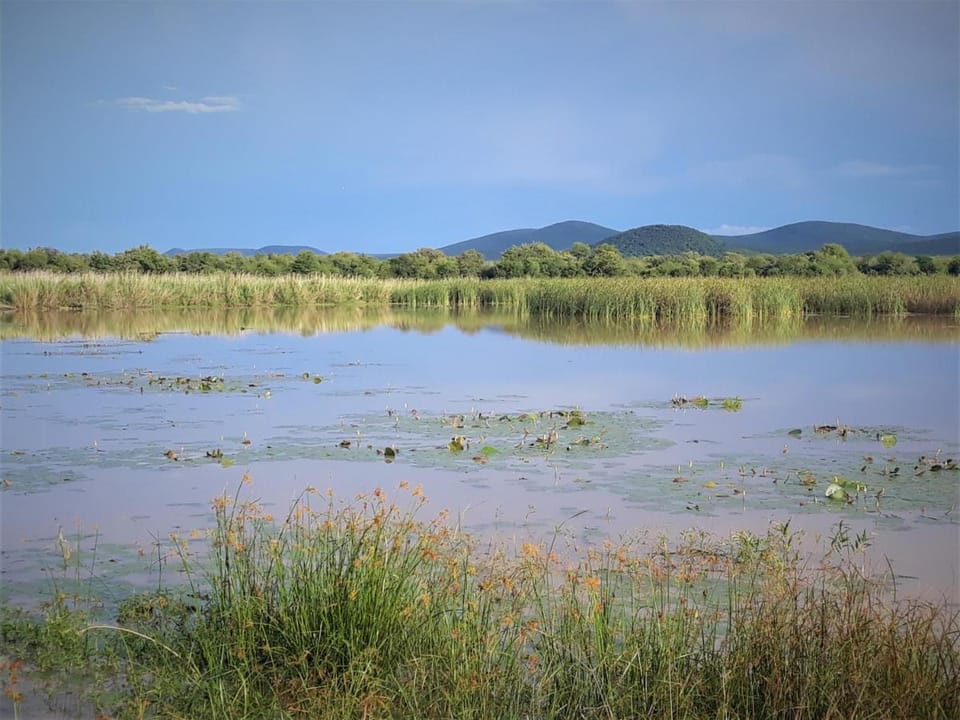 Crocodile Pools Resort Lodge in North West, South Africa