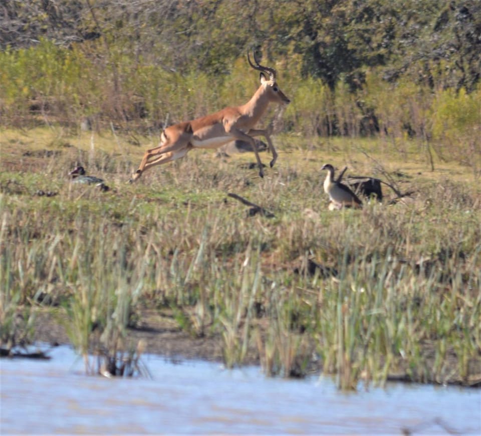 Crocodile Pools Resort Lodge in North West, South Africa