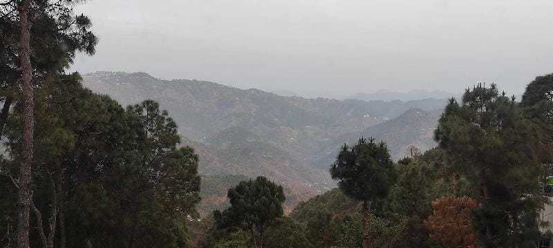 HEAD N TAIL  KASAULI Apartment in Himachal Pradesh