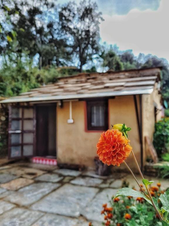 Sharda Stays Binsar Himalayas Vacation rental in Uttarakhand