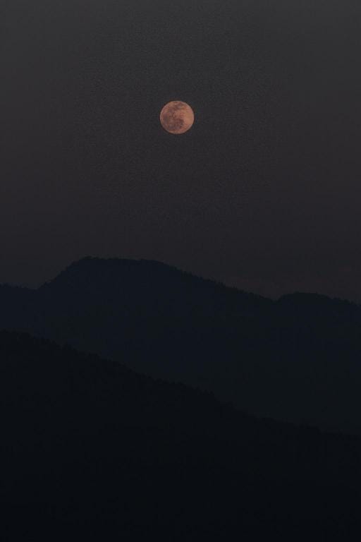 Sharda Stays Binsar Himalayas Vacation rental in Uttarakhand