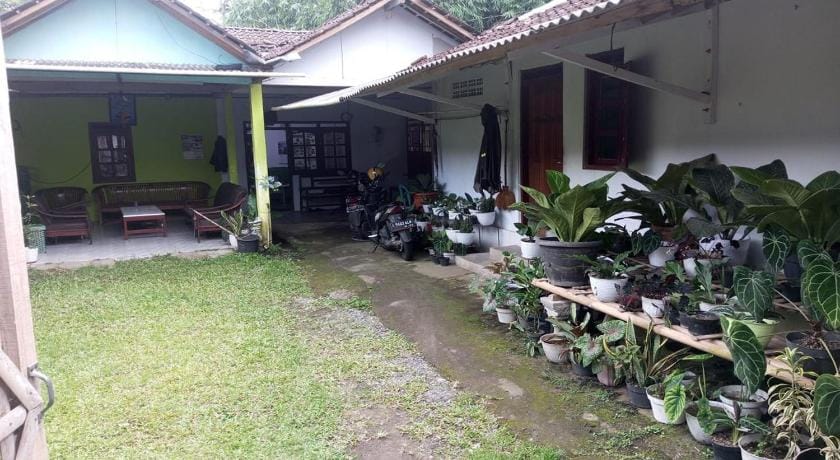 Homestay Wijaya Mulya Hotel in Special Region of Yogyakarta