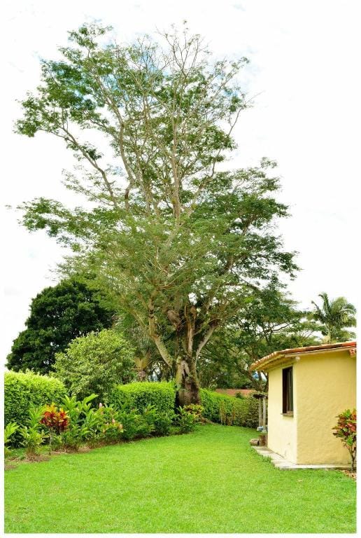 Portal 12  Villa in Quindio, Colombia