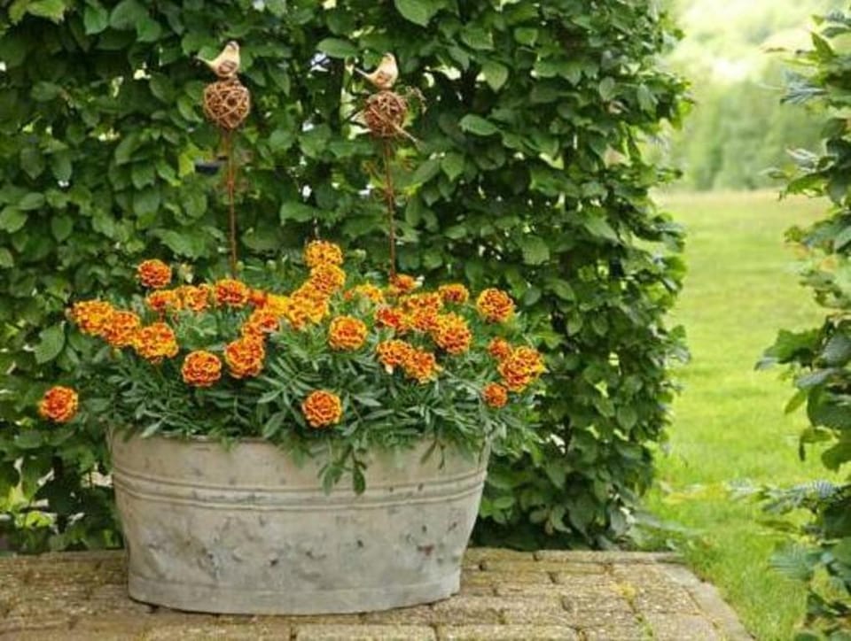 Farmstay with Garden Views Vacation rental in Limburg (province)