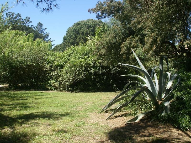 House near Pampelonne beach with garden Vacation rental in Ramatuelle