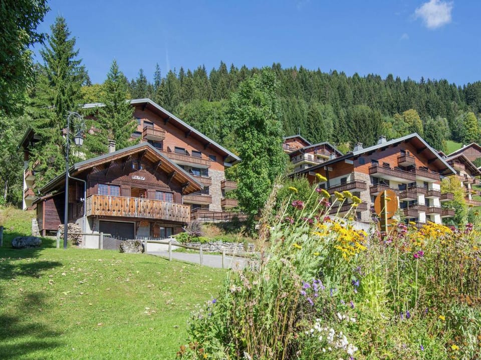 Chalet in Chatel near Les Portes du Soleil Vacation rental in Châtel